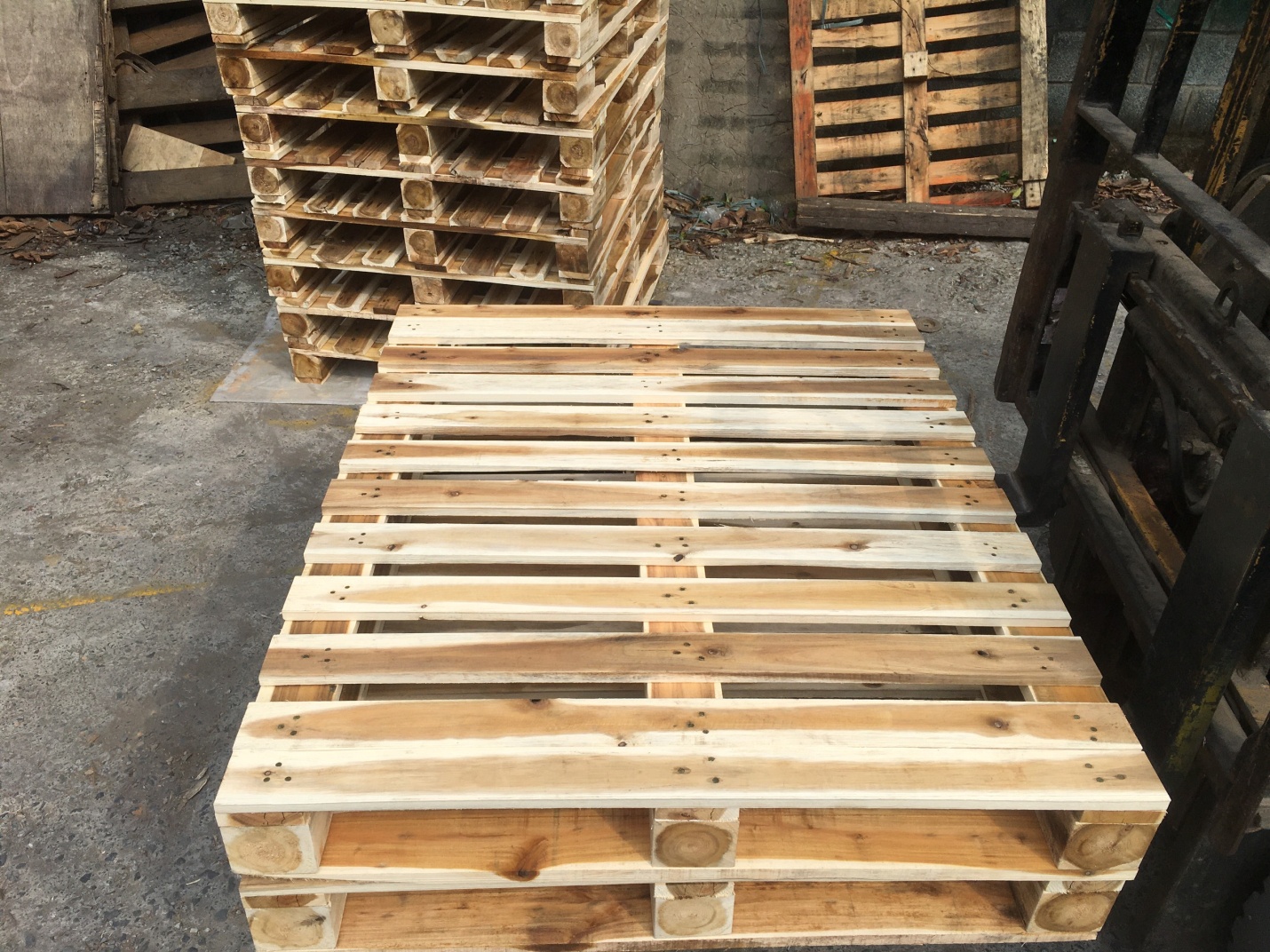 Pallet gỗ thông Hải Phòng
